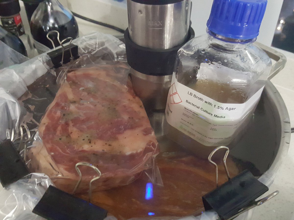 Lb Agar Recipe Ampicillin | Bryont Rugs and Livings