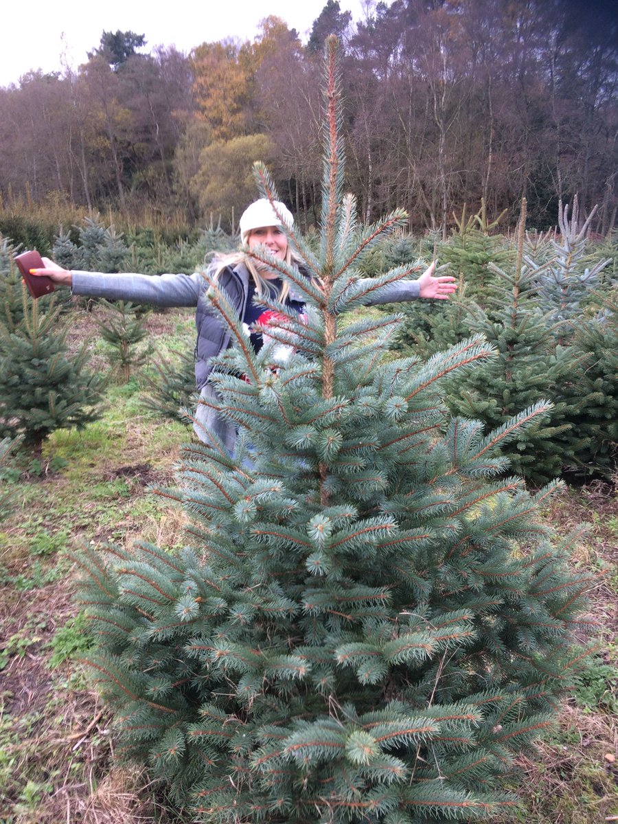 Christmas’s tree picked at wylds farms. Looking forward to getting it December 2nd #offseason #christmas