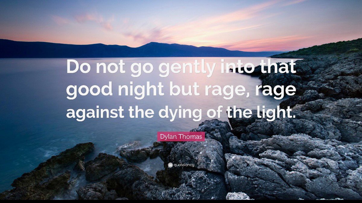 .michelle bamborough tweet media