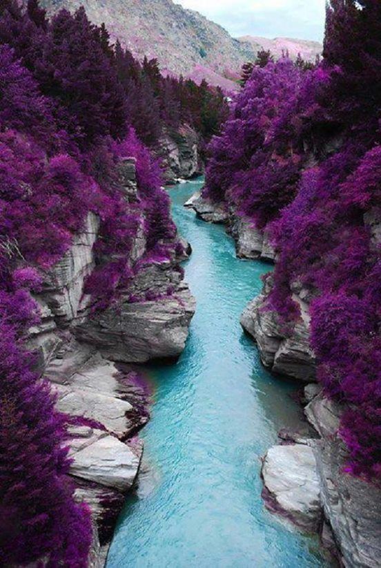 wxwows's tweet photo. Shotover River, New Zealand. https://t.co/ZfurFtAoQl