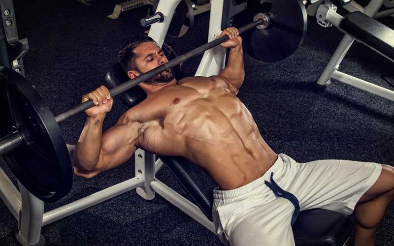 TWorkoutTips's tweet photo. 6 Reasons Your Bench Press Sucks !
https://t.co/GbttsqylhU https://t.co/eDZGx7sXLj