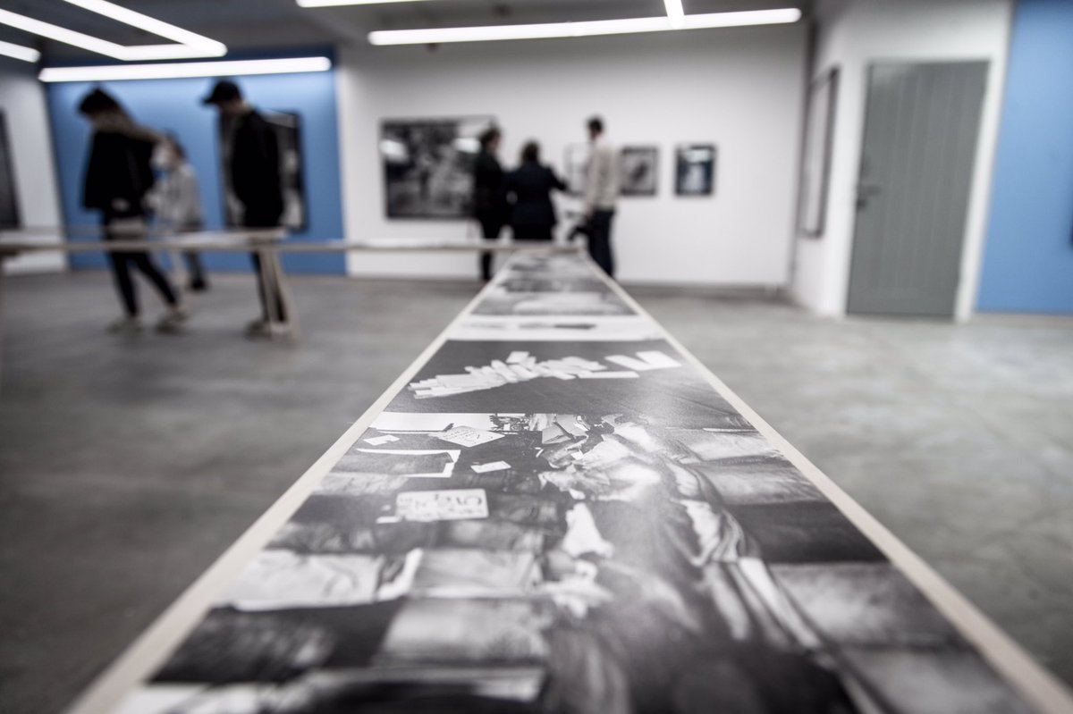 Charlotte Armitage tweet media