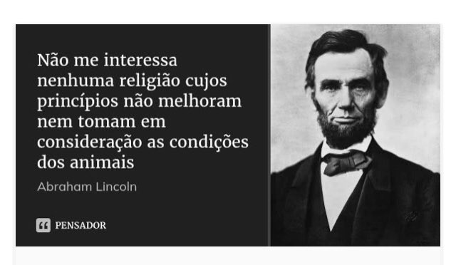 QueridoCachorro's tweet photo. Pessoa religiosa que ignora as condições dos animais está menosprezando criaturas do Deus que admira, portanto é uma contradição e, no limite, hipocrisia https://t.co/t1mZukqXgU