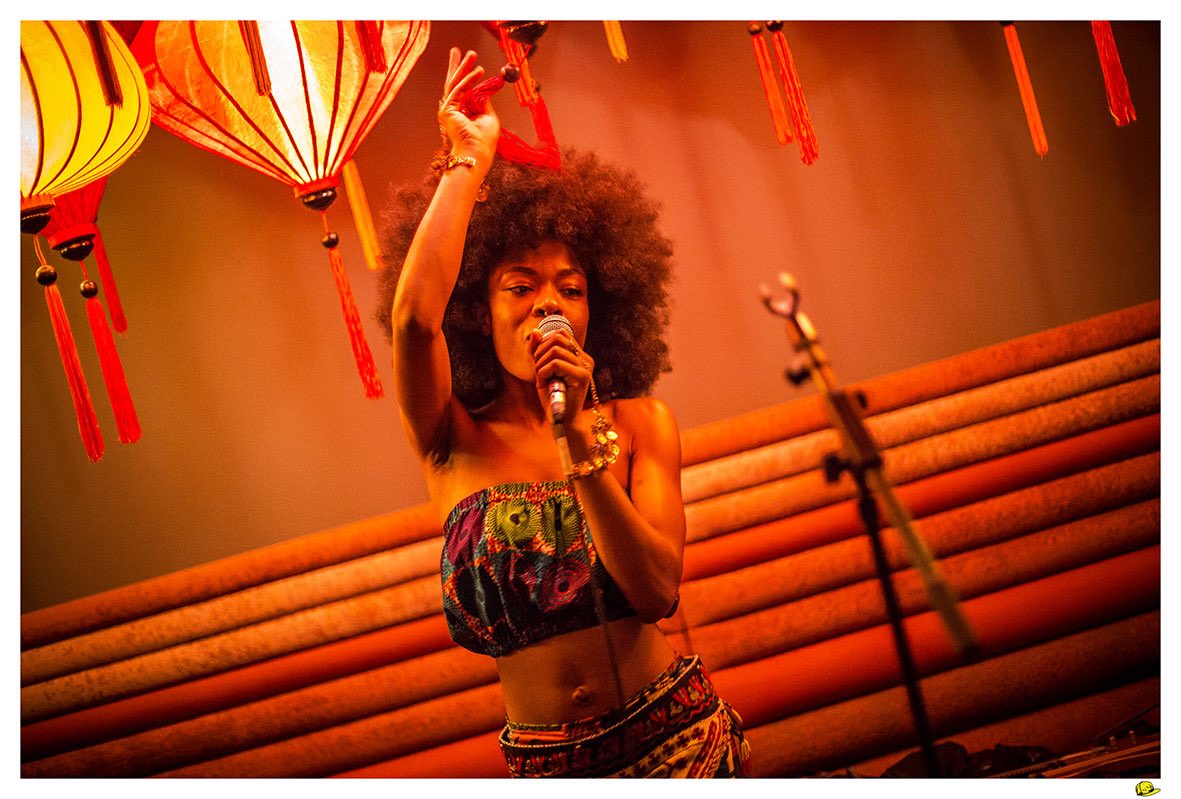 NewFallFestival's tweet photo. Atemberaubendes Aftershowkonzert mit der wunderbaren @sudanarchives im @meandall_hotels. 📷FotoSchiko https://t.co/nJqhN97pY4