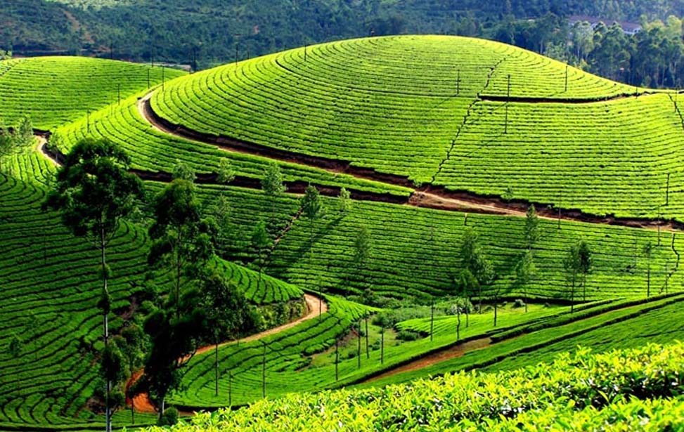 classytours's tweet image. Moon Plains ( also known as Sandatanne, Sandagalatanne) is the latest attraction open to public in Nuwara Eliya.The main attraction of Moon Plains is the mini Worlds End at the edge giving a 360 Degree view of the surrounding peaks and towns.#paradise #moonplains #travel #tourism