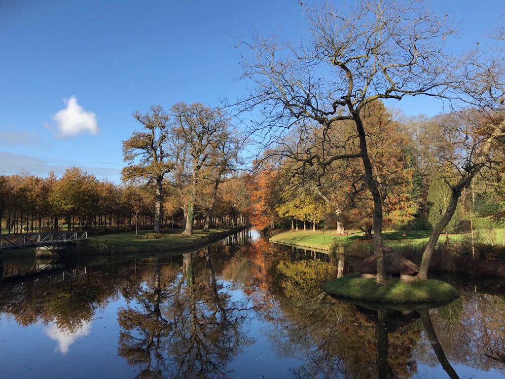 OranjewoudFSTVL's tweet photo. Het festivalterrein ligt er prachtig bij in de #herfst! We kunnen bijna niet wachten tot we hier weer mogen neerstrijken. Neem ook eens een kijkje op Landgoed Oranjewoud! https://t.co/svI5WtzSS7