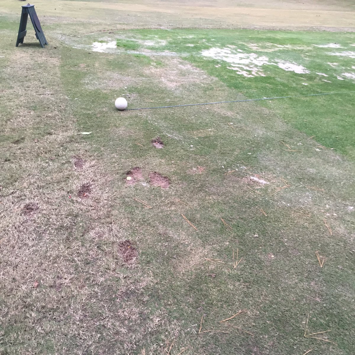 JacksonCC_GCM's tweet photo. @grumpysuper I guess it was too far to walk to hit from over seeded area of range tee. #saveyourstrength https://t.co/ByhoY9fw4e