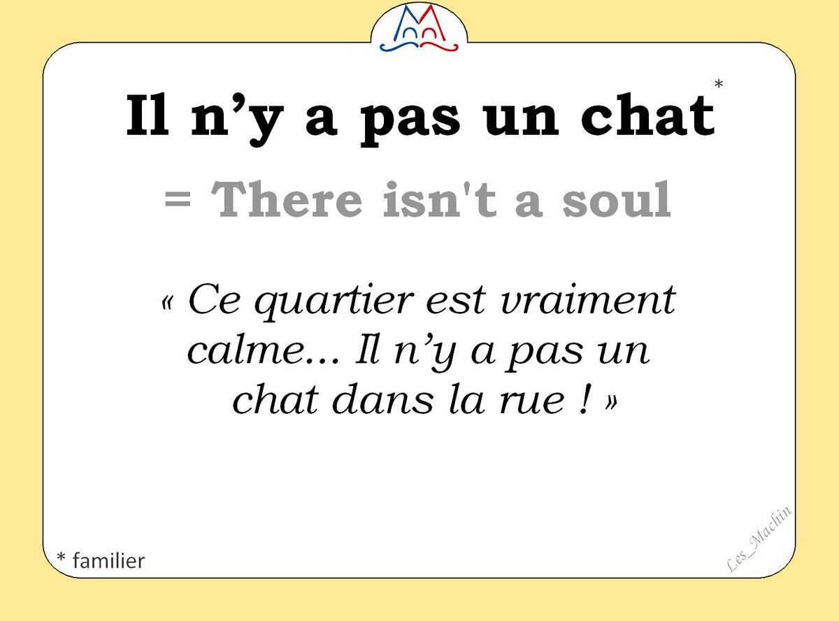 Les_Machin's tweet image. L&apos;expression (familière) du jour : 
« Il n&apos;y a pas un chat » [il nja pa zœ̃ ʃa] 
#learnfrench #FLE #french