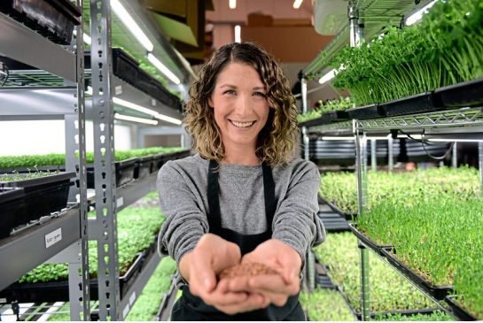 Accessopremium's tweet photo. Calgary microgreen business growing into a larger space https://t.co/3iyZXNWkR0
#yyc #yycbusiness #entrepreneur @nowyyc https://t.co/F7u4IuYujA