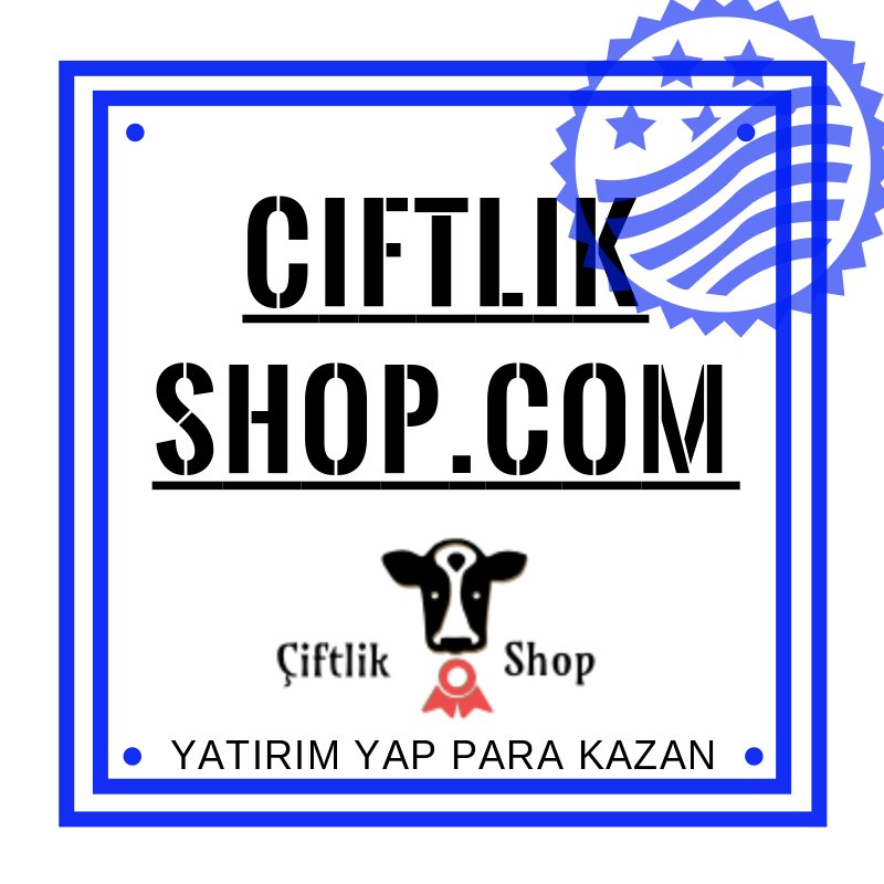 paraizle's tweet photo. OYUN OYNA, YATIRIM YAP, PARA KAZAN. EK GELİR SAĞLA.
https://t.co/sTJBtG5zkR https://t.co/M0eVNfYVjL