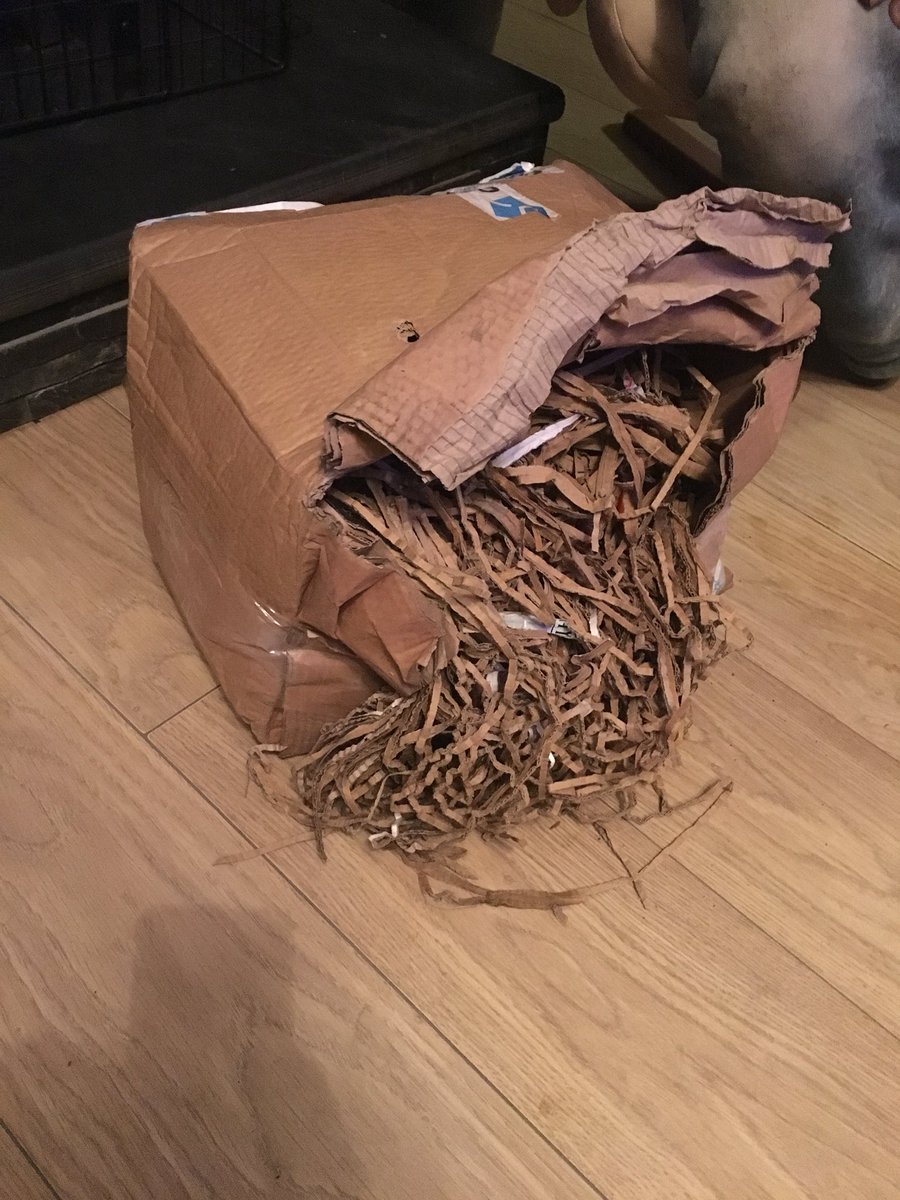 Sian Tandy tweet media