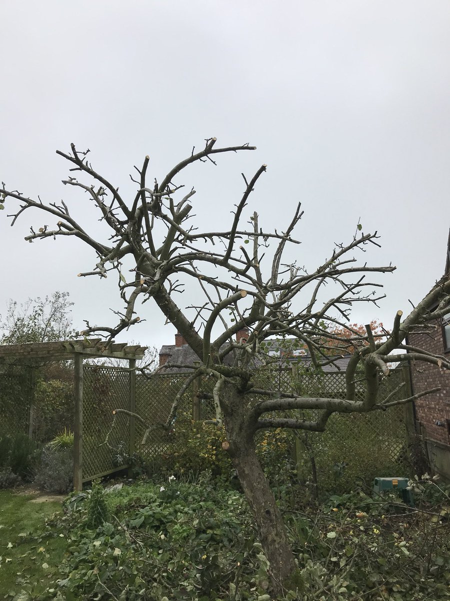 MGoddardSwoogel's tweet photo. Nice view over #Ruralleicestershire up the ladder #Rosetying and #Treepruning on a fine #November Saturday #Goddardsgardenservices https://t.co/ypHNX2jara