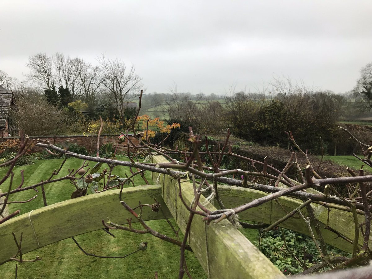 MGoddardSwoogel's tweet photo. Nice view over #Ruralleicestershire up the ladder #Rosetying and #Treepruning on a fine #November Saturday #Goddardsgardenservices https://t.co/ypHNX2jara
