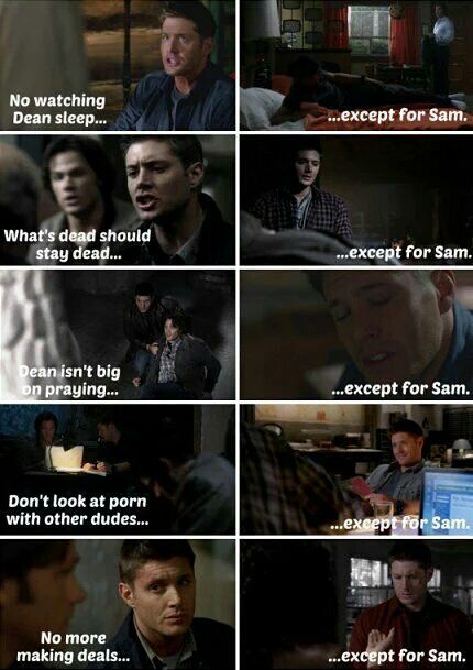 liataghva's tweet photo. Good night my dear #SPNFamily ⚘gonna get to bed so that i can be up for #RockStarAckles at #SNS  😉😍👌
Wish ya'll a wonderful day/night as well😘
Not wanna make you cry or something but this pic👌😭❤
#TheEpicLoveStoryOfSamAndDean
#J2Family
#OnlyLove
#SpreadLove
#LoveLouder https://t.co/1SsBqWSBOc