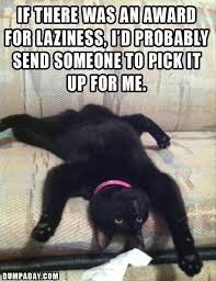 AshleyAnimals11's tweet photo. Share this to anyone that is like this https://t.co/knQ3AMtb0m