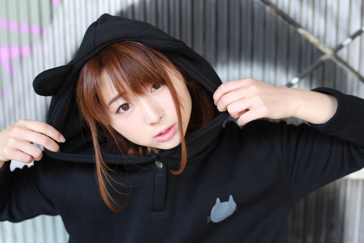 ねこ耳 Twitter Search Twitter