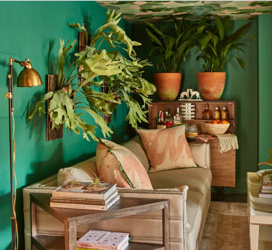 DeniseMcGaha's tweet photo. Itβs the perfect weekend to get out & enjoy some design inspiration by visiting @SouthStyleNow @traditionalhome designer showhouse in Savannah, GA. The house is open for tours through Dec. 1. #ssnow #designingwithadeadline For tickets & details visit https://t.co/oc2fsnXbSo https://t.co/qr7prboOUI