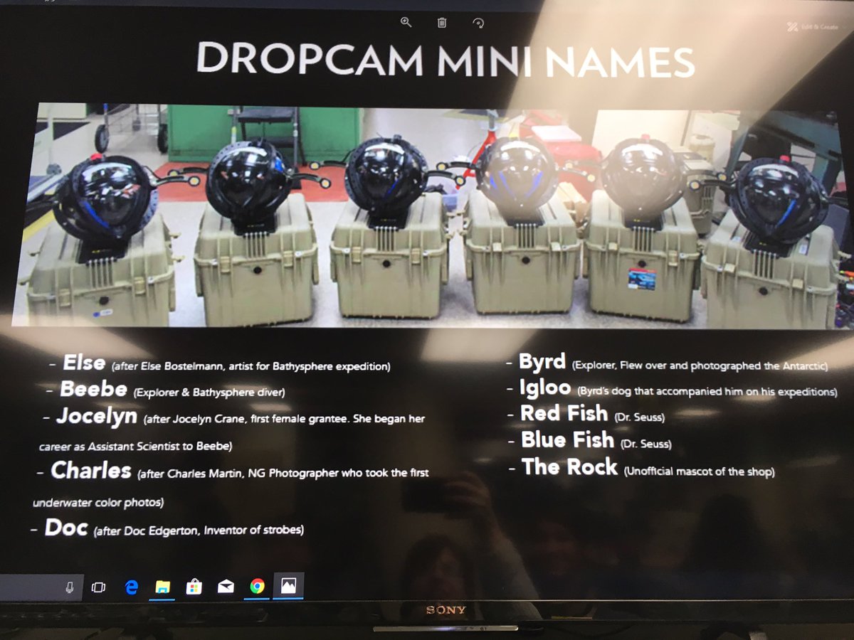 NatGeoLibrary's tweet photo. Love the @NatGeo Remote Imaging Lab's names for the new #dropcam minis! Named after explorers, inventors, fishes...and @TheRock? https://t.co/QC8WP1ccxc