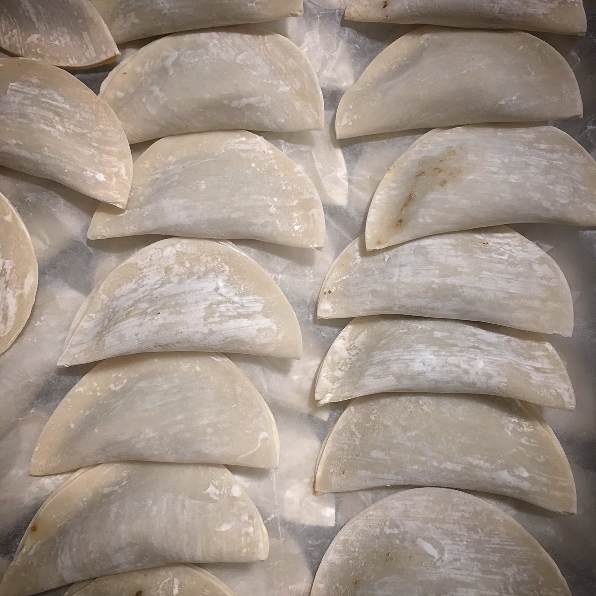 derzubar's tweet photo. ¡Qué hermosas tenemos las gyozas oiga! #gyozas #logozas #kungfood #goodfood #ventepaca #ñamñam #outsiders #neighborhoodbar #yeah #cool https://t.co/2t3Oi0gXn2