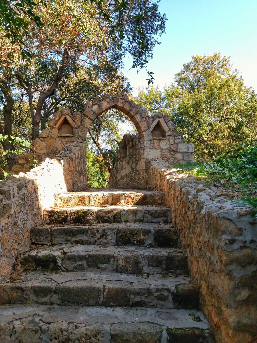 Yvonne Kerrigan tweet media