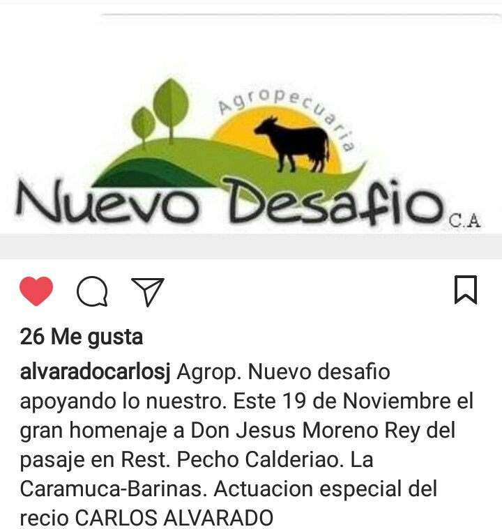 Carlos Alvarado (@carjose65) on Twitter photo 