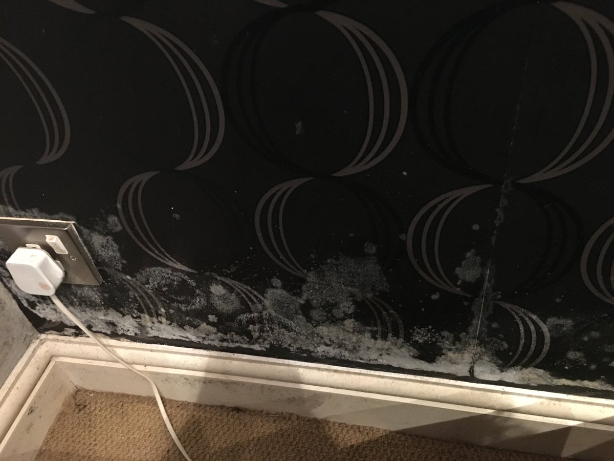 beautycheadle's tweet photo. My lounge where my 👶🏻'S have to sit. @CavitywallCIGA think £100 covers repairs for whole house, this is just 1 wall #cedr £250 & advises me to wipe with a cloth, will not extract ,this is scandalous #cwiproblems @Chrisitv https://t.co/yeyaPk09kT
