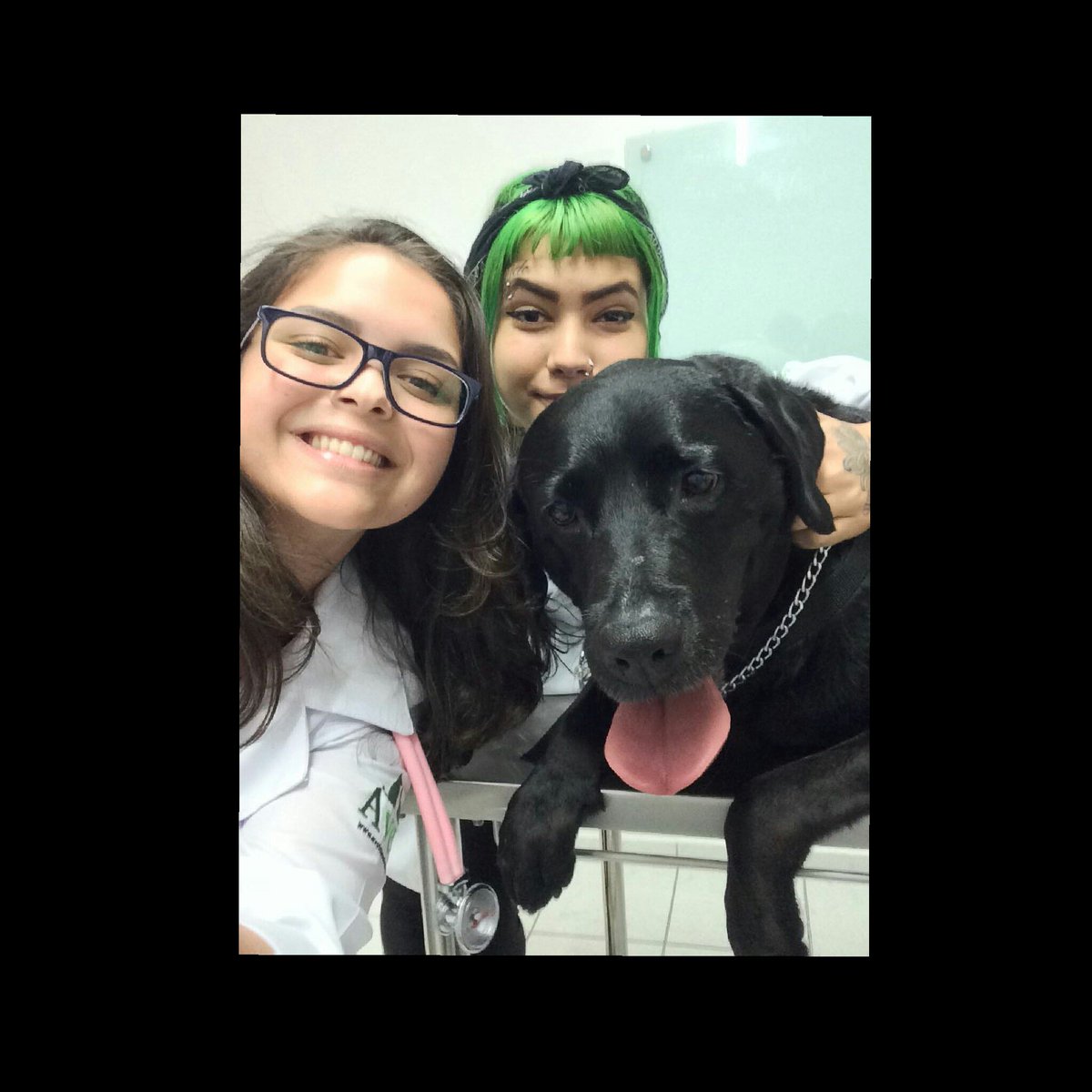 4h_46's tweet photo. ❤🐾💉 https://t.co/NdBLujwd1N