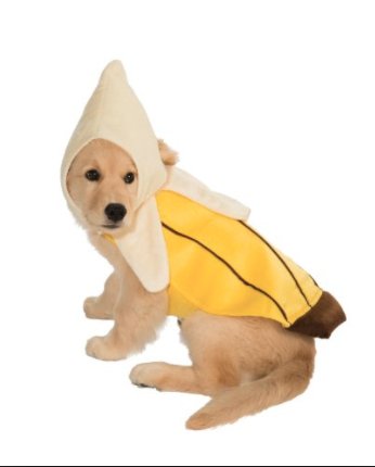 Bananacoin_Eng's tweet photo. Happy Friday, banana-lovers! #bananacoin #fridayfeeling #bananasforall https://t.co/HHxB5xh7dt