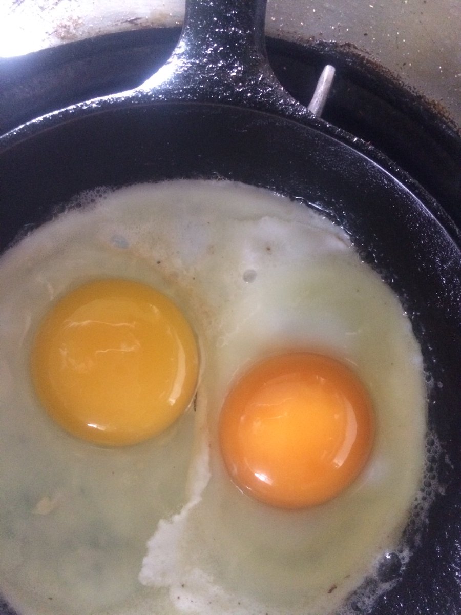 Cooking up eggs. Silly chickens are on strike but one popped out!  Check out the difference between ours and theirs!