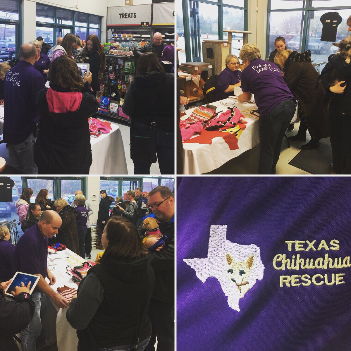 PetMaxCanada's tweet photo. It’s so amazing to see new forever families forming! Thanks to the @TexasChiRescue for introducing the rescued chihuahua’s to their forever family at our Burlington location this morning ❤️🐶🎉 https://t.co/oFGoqnhyTN