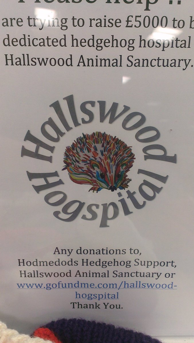 #volunteer twitter mouse is back!  There's been an awful lot of work going on behind the scenes, you would not believe it! The Hallswood Hogspital is so close to completion! All will be revealed soon!  You can still donate to help the prickly residents as winter arrives!