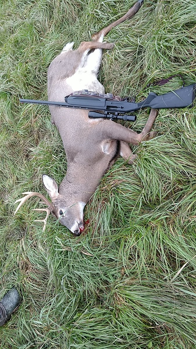 sabresfan48's tweet photo. @LukeBryanOnline first deer ever! opening day at 8am! 75yds out dropped him in his tracks. 8pt buck #hunting #girlswhohunt #backyardhunt #firstdeer #DarienNy #adrenalinerush #buckcommander #RT https://t.co/L1zUhkmYRx