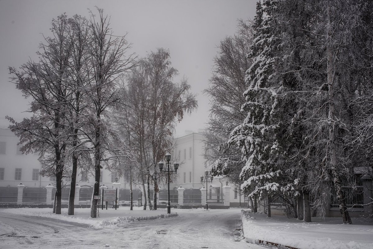 MaksimNGr's tweet photo. #тобольск #зима #кремль #е��ь #дуб #дерево #утро #фото #туман #west #сибирь #тюмень #tobolsk #russia #rf https://t.co/JpmQ0puIXP