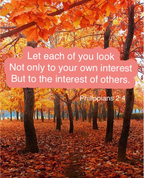 CoreCommunityFL's tweet image. Join us tomorrow as we continue our series in the book of Philippians. What are you living for?