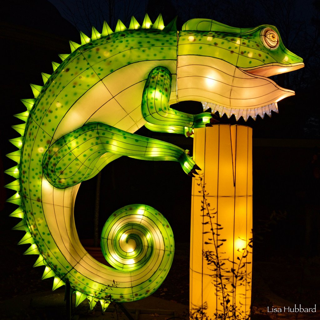CincinnatiZoo's tweet photo. Tonight is the official opening of the 35th annual #PNCFestivalofLights! We are excited about our new 19 life-size animal lanterns you'll see around the park! Pick up half-price coupons for select nights at local Skyline Chili locations. https://t.co/T9CEvRAmKP https://t.co/sezBoThvOX