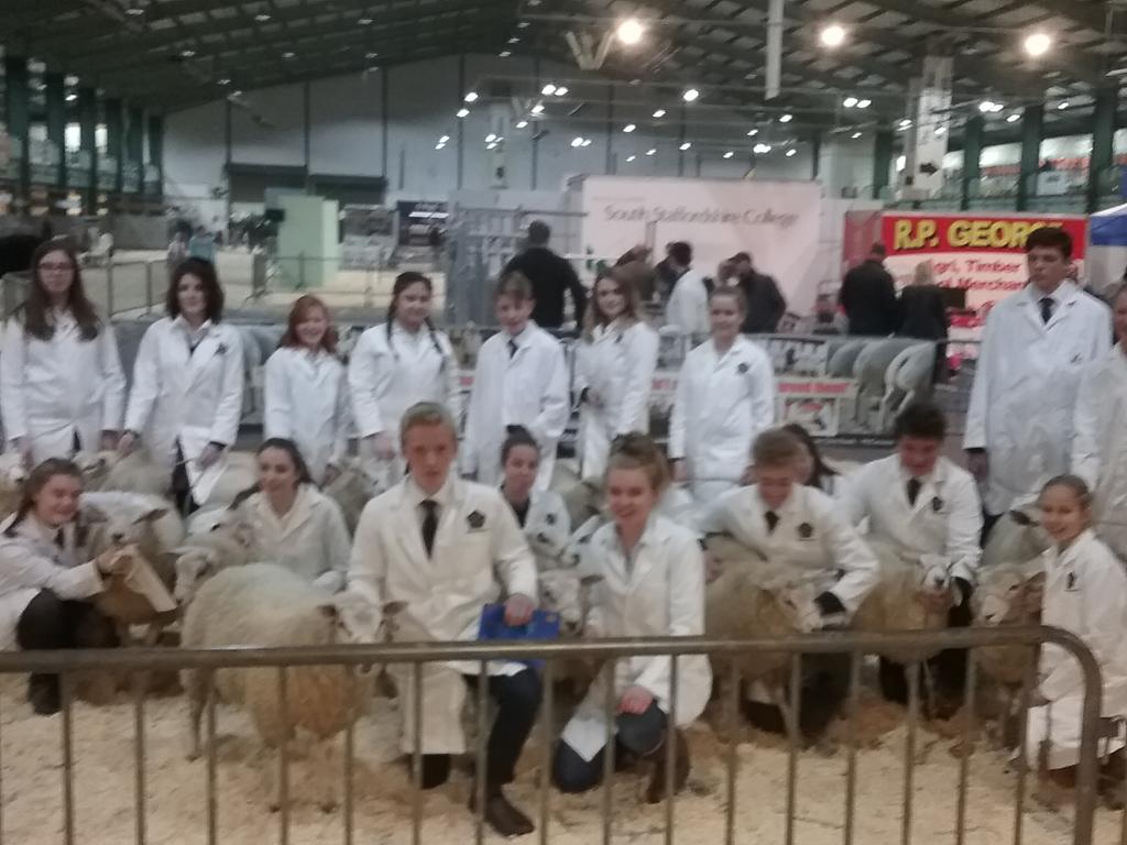 Animalholme's tweet photo. @Animalholme @AbbotsholmeSch students competing in the @Engwinterfair 2nd, 5th and 6th place well done to everyone https://t.co/r0BYIYQejA
