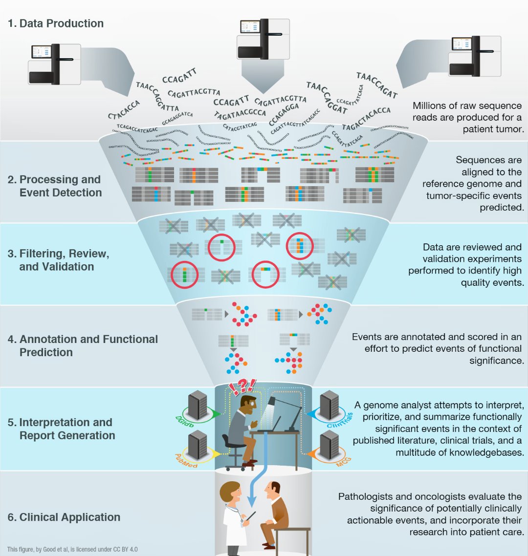 анализ окружения анализ «узких мест» интернет магазина. анализ узких мест. анализ тенденций моды. анализ узких мест. схема этажей азовстали.