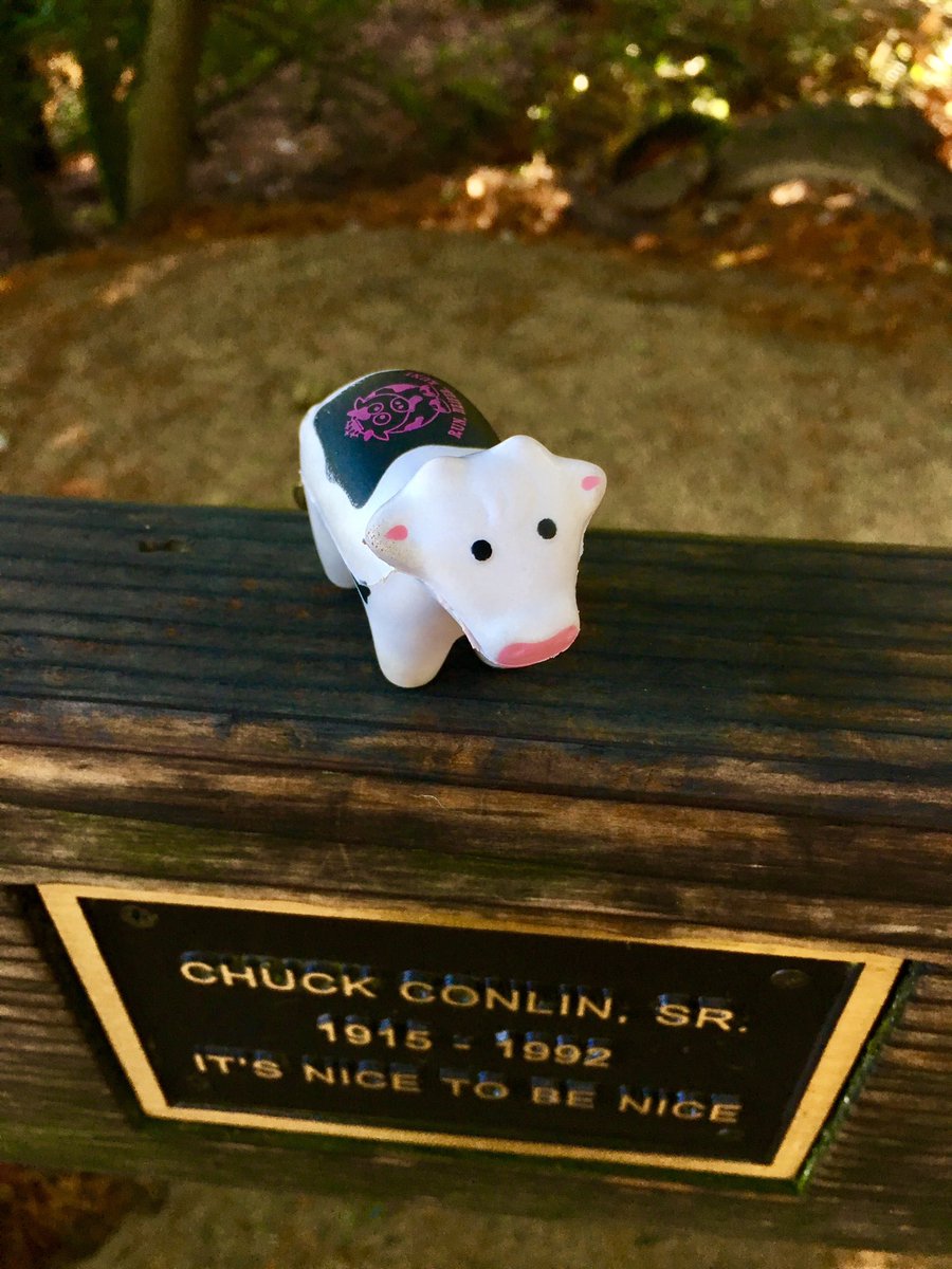 rundemtrails's tweet photo. Knowing that trail running is but one of life's truths, #HeiferBelle pauses to absorb more wisdom 🐮🙂

#trailrunning #adventures https://t.co/FsBfCMBEFa