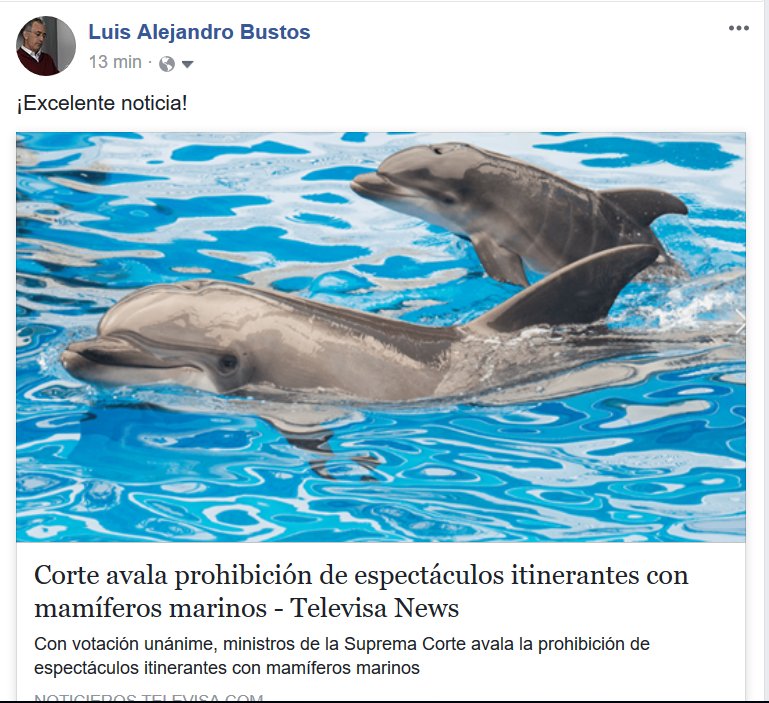 Alejandro Bustos O. (@labustos_o) on Twitter photo 