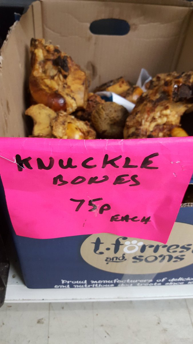 Angelo Palladino tweet media