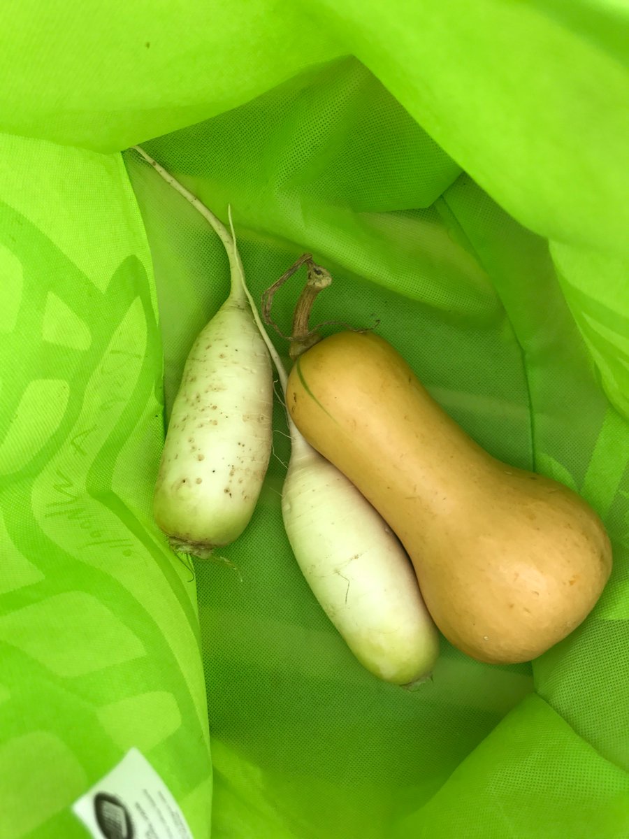 longhandnotes's tweet photo. Short stout radishes
Speak of soils too firm to yield
To pushes more deep
#haiku #daikon #upbringing #grounding #grounded #backgroundconditions #GardenersTales https://t.co/U8Y8O1nZri