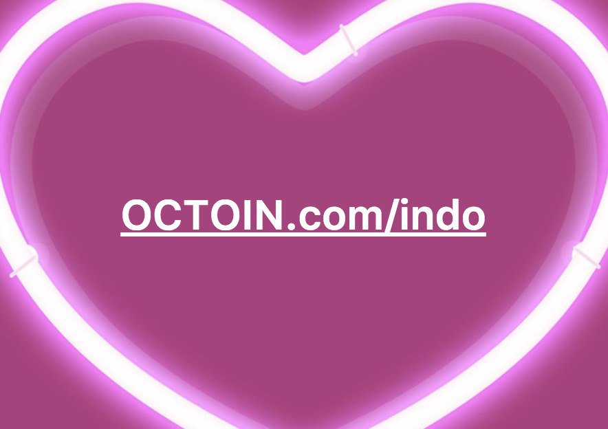 nkalebed's tweet photo. I love leaders of #HYIP industry! #Octoin for long time here https://t.co/SwboGbCthQ https://t.co/zmHTZY2lxD