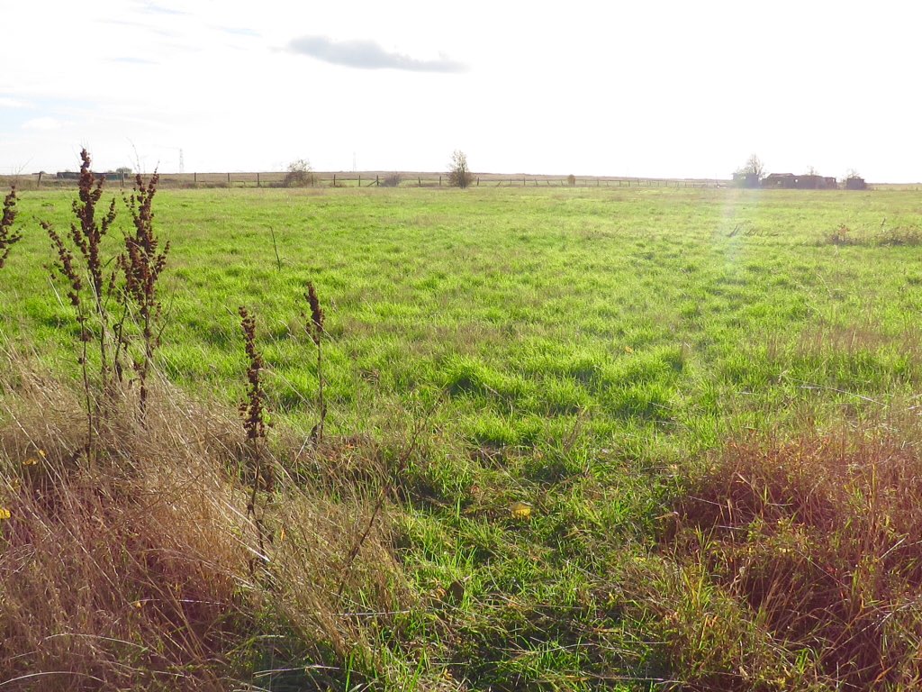 MarshesCrayford's tweet photo. #SaveOurMarshes #Greenbelt #CornBunting #Skylark #WaterVole - An Inquiry appeal has begun! Please support our campaign by sending your 
Comments, quoting: APP/D5120/W/17/3184205 to
https://t.co/3AWpC6LsNO
&amp; keep signing and sharing the petition too! Info:
https://t.co/LYaR1Mz1GM https://t.co/e4KslWAnWa