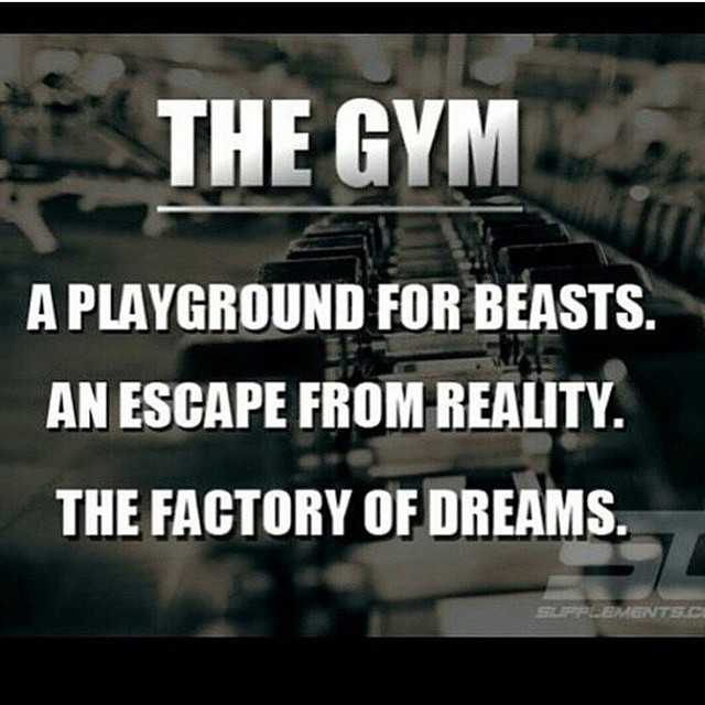 EasyGymLife's tweet photo. https://t.co/Hm54ZqES8m
