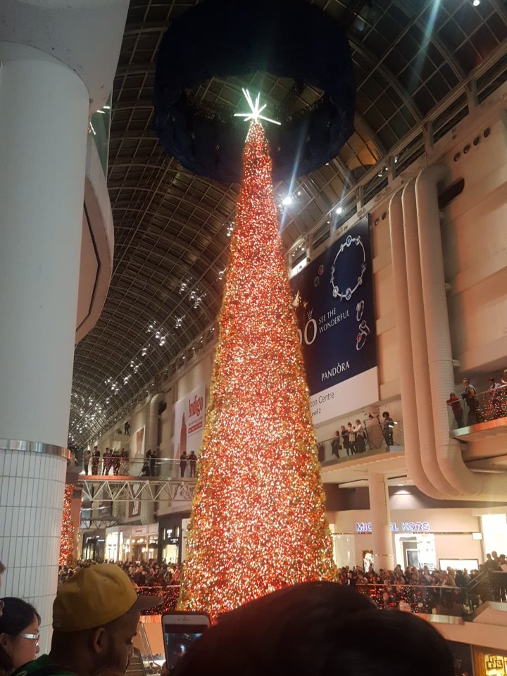 Who's ready for the festivity to begin?!?!?