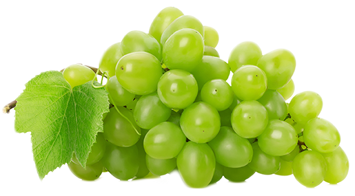 RogerBezanis's tweet photo. What food does all of these things:

•Stops Arthritis
•Beats Vertigo
•Aids the heart
•Corrects Blood Pressure
•Heals the Prostate
•Reduces or stops PERIOD CRAMPS
•Stops Low Back Pain
•Increases strength
•Increase endurance
•Improves Sexual Function
•Heals the Bladder https://t.co/4qkduMQ0ob