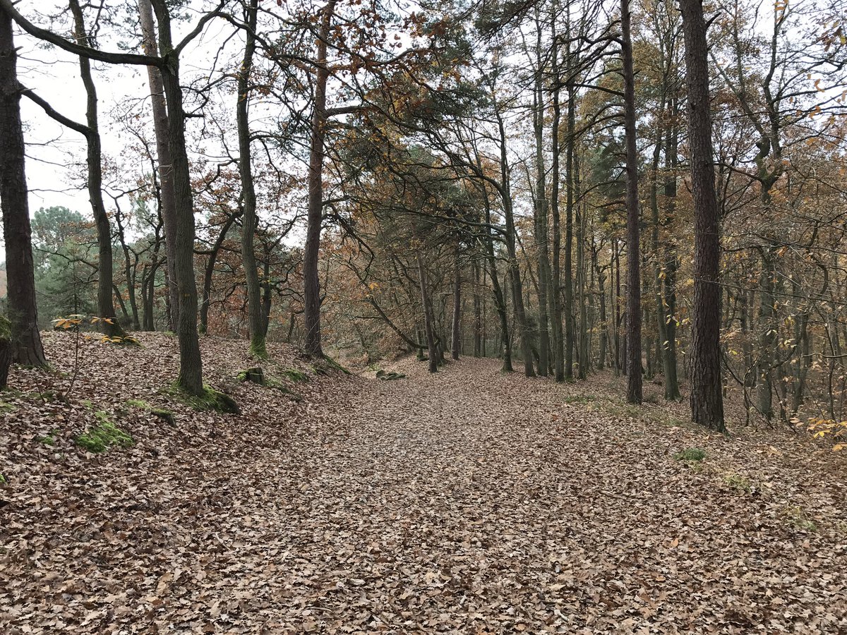 Ça y est !! On a dépassé les 500 km sur le #GR1 😁 Plus que 3 étapes avant l'arrivée ! De Dourdan à Rambouillet 🌲 36,7 km en 7h00