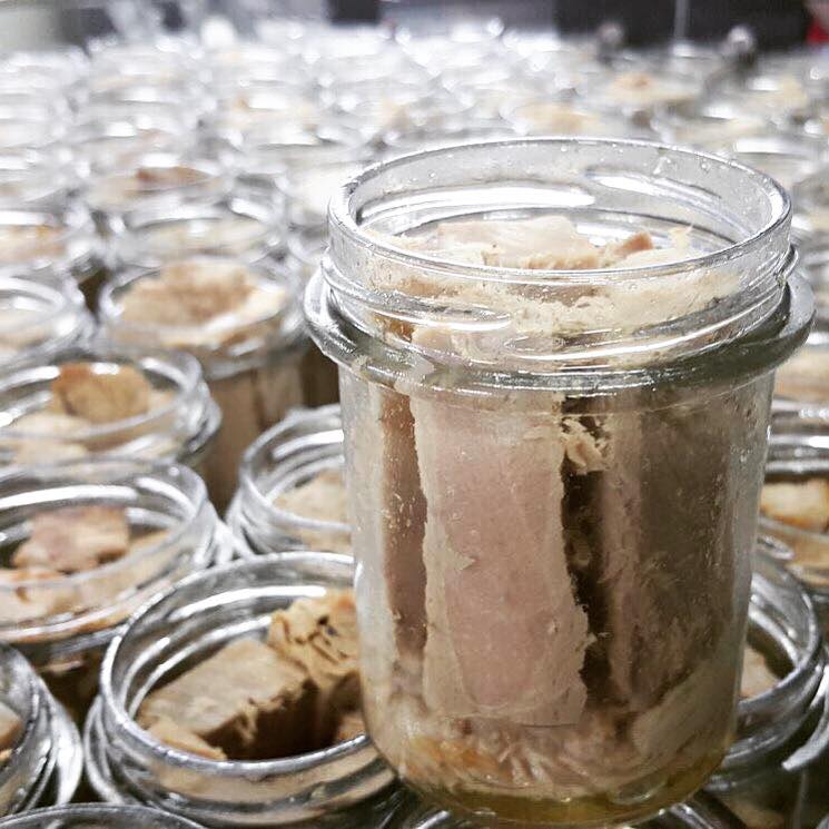 Testa Conserve tweet media