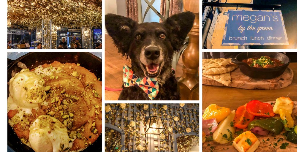 TheDogvine's tweet photo. ON THE BLOG | Our new fave #dogfriendly place is Megan's by The Green 🐶☕️ The fairy lights &amp; flowers  @MegansCafes #parsonsgreen are truly magical, food &amp; service superb &amp; Megan's #lovedogs! More on:  https://t.co/8oSOIt6HFc #londonislovinit #London #fulham #greatfood #dogs https://t.co/Ja4C95Z3zk