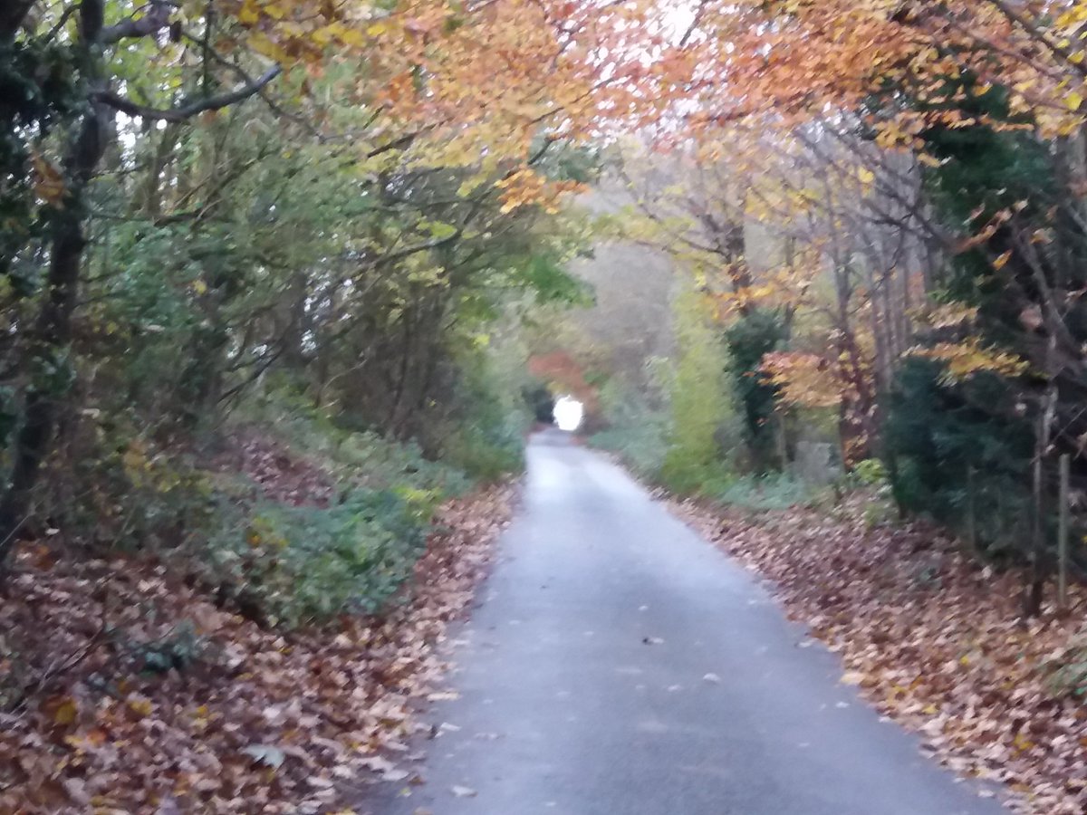DavidCrayford2's tweet photo. Went for a walk found some good Autumn colours https://t.co/F3rBpCxfgN